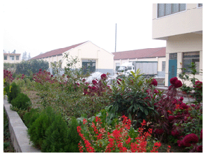 福建采购丙烯酸酯类工艺